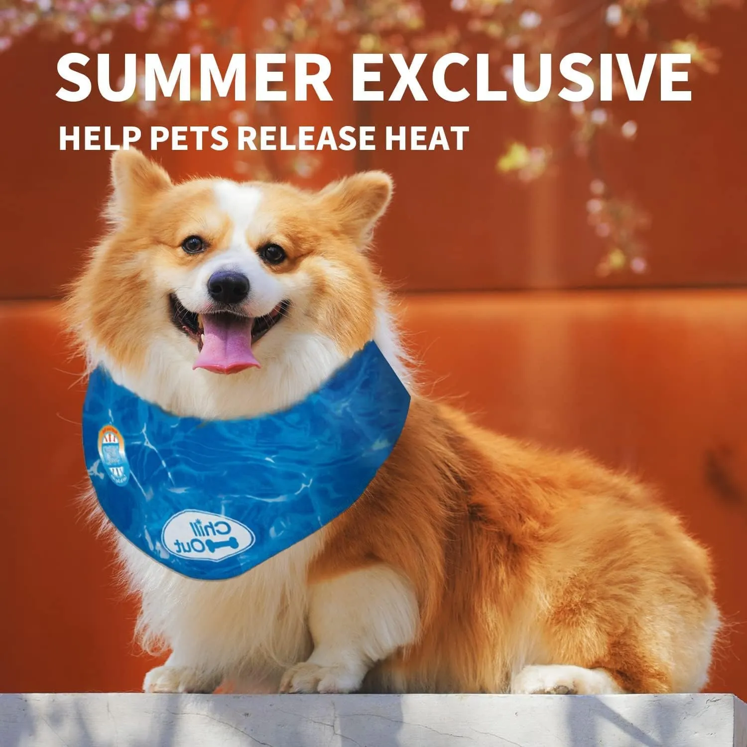 All For Paws Chill Out Ice Bandana