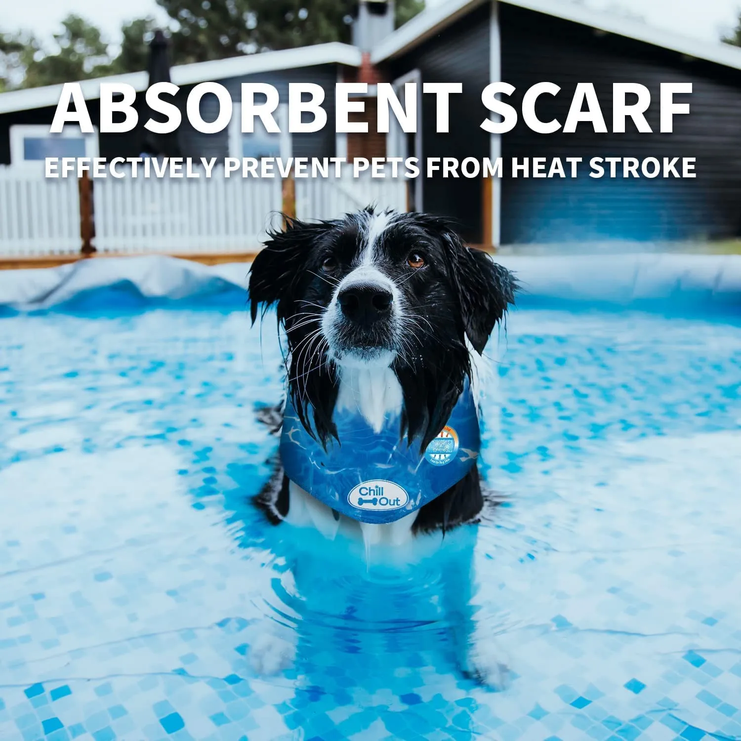 All For Paws Chill Out Ice Bandana