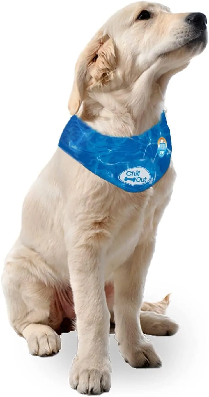 All For Paws Chill Out Ice Bandana