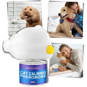 Anxiety Relief For Pets