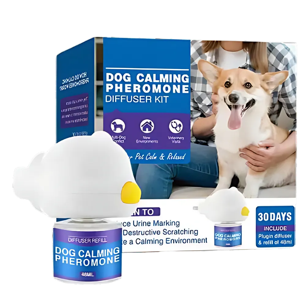 Anxiety Relief For Pets