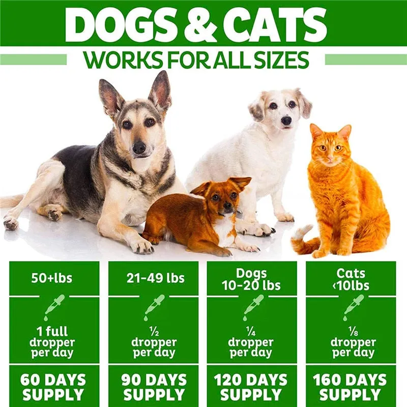 Catfit Natural HE-MP seed Oil Pet Anxiety Relief &amp;Pain Relief Oil Pet hair Care Oil Improve Immunity Temper Dogs and Cat