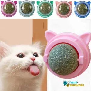 Catnip Wall Ball | Paws & Whiskers