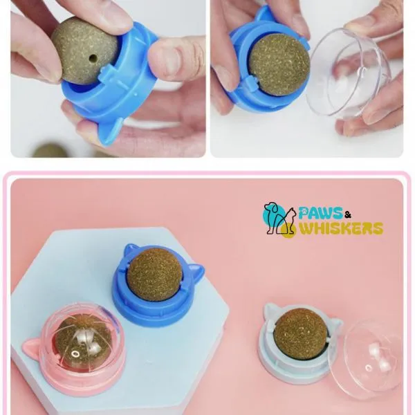 Catnip Wall Ball | Paws & Whiskers