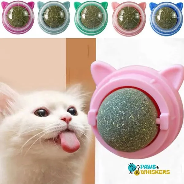 Catnip Wall Ball | Paws & Whiskers