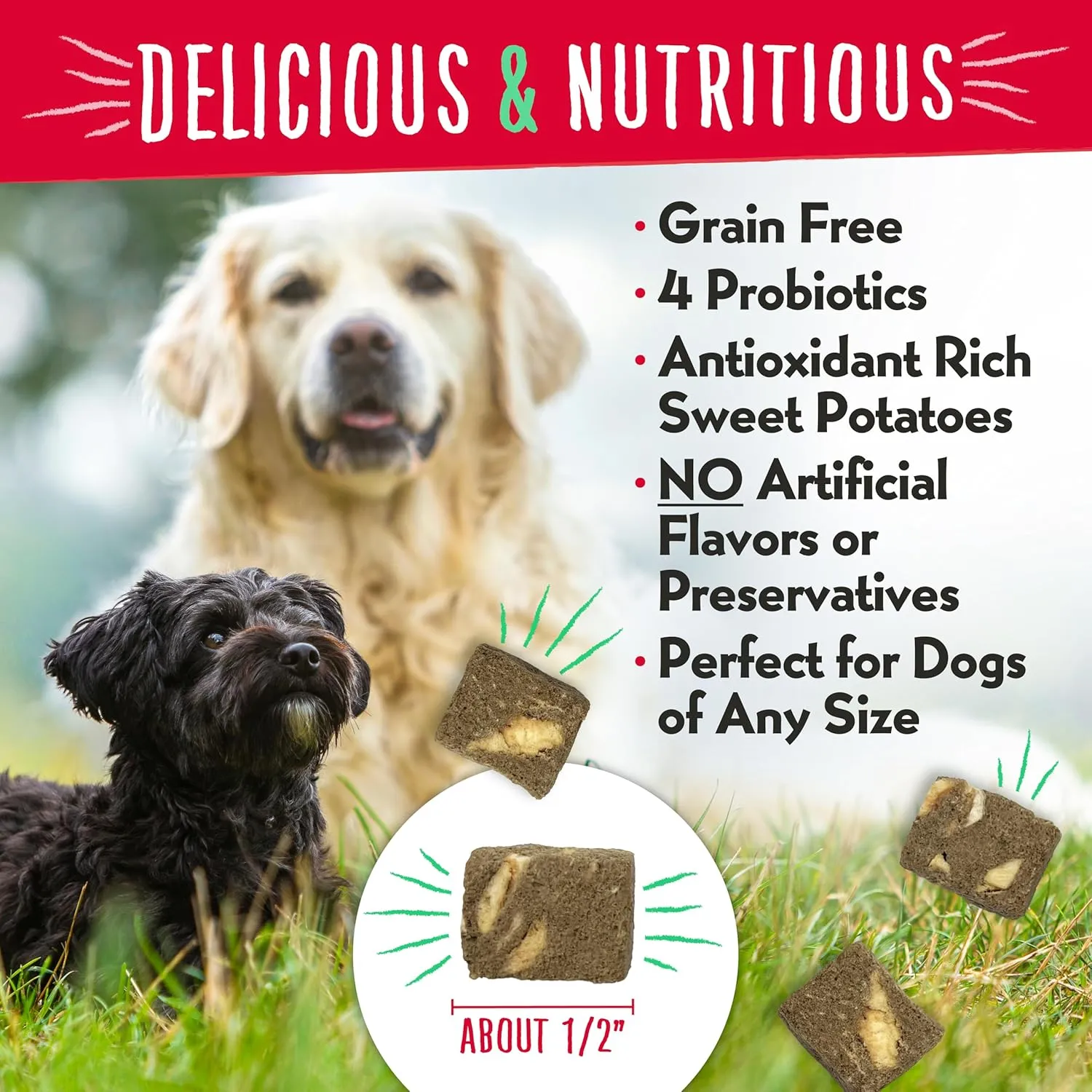 Charlee Bear Grain Free Meaty Bites Freeze Dried Dog Treats with Probiotics, Puppy Training Snacks, Soft Dog Bites Beef Liver with Sweet Potato, 2.25 oz Bags (2), Made USA