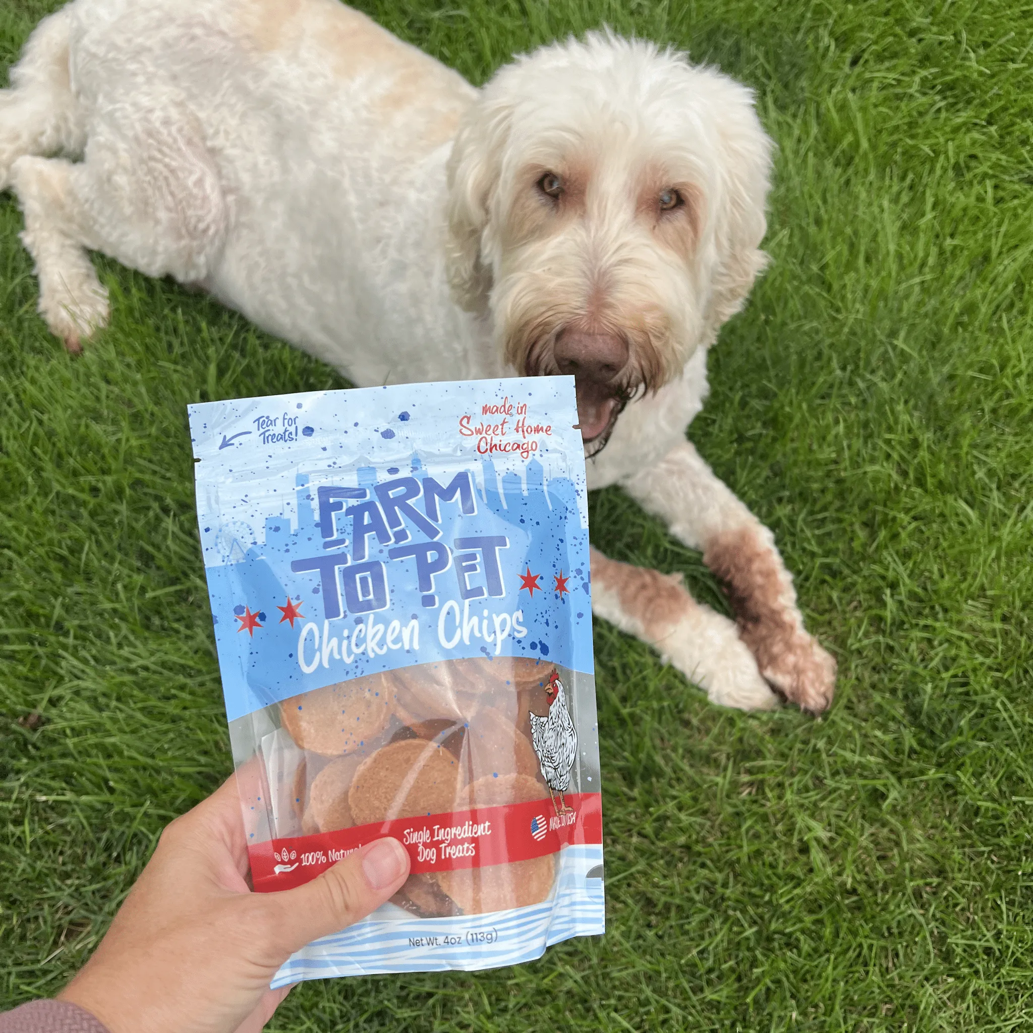 Chicago Chicken Chips for Dogs – All-Natural, High-Protein Dog Treats Made in the USA