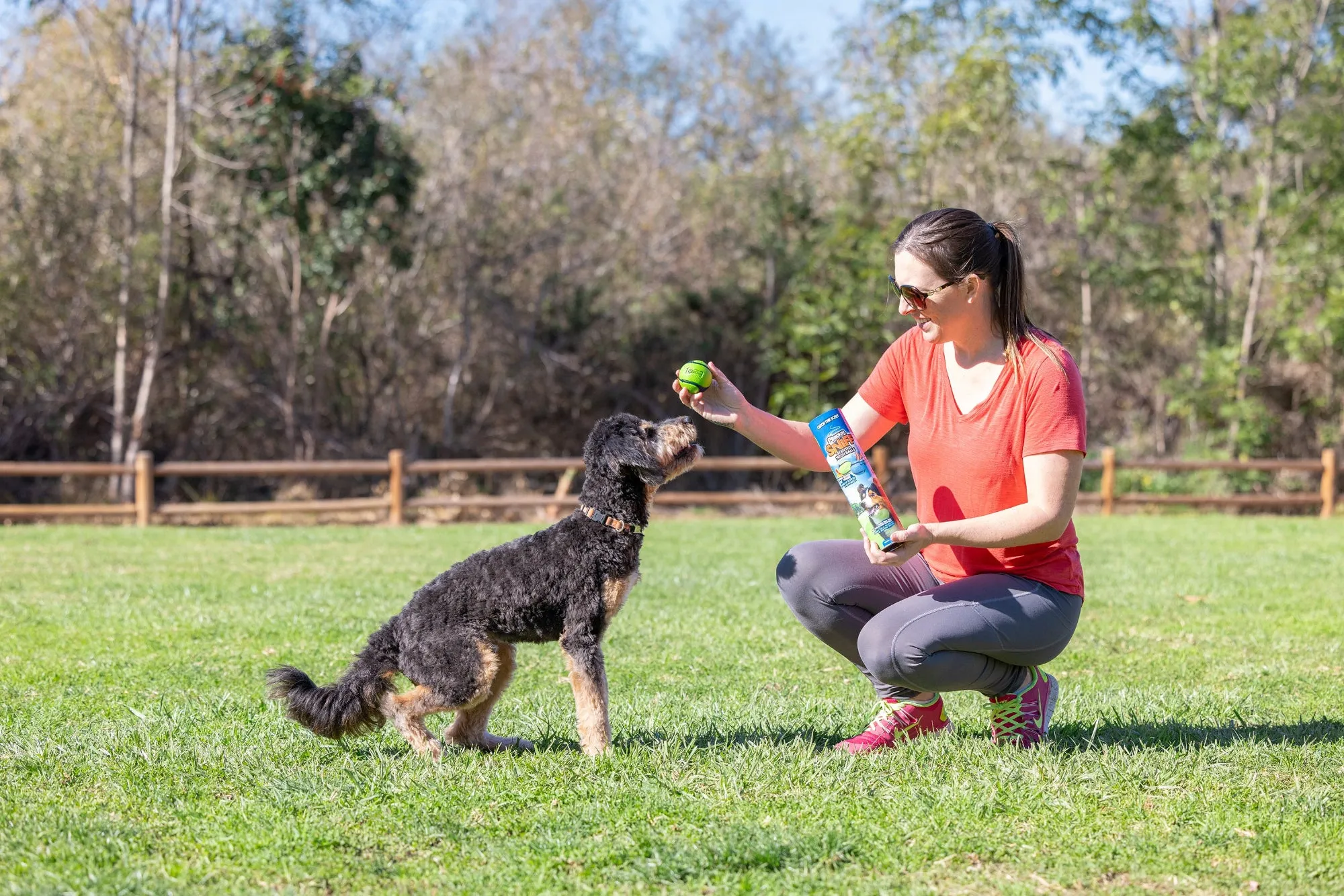 Chuckit Sniff Ball 4 Pack
