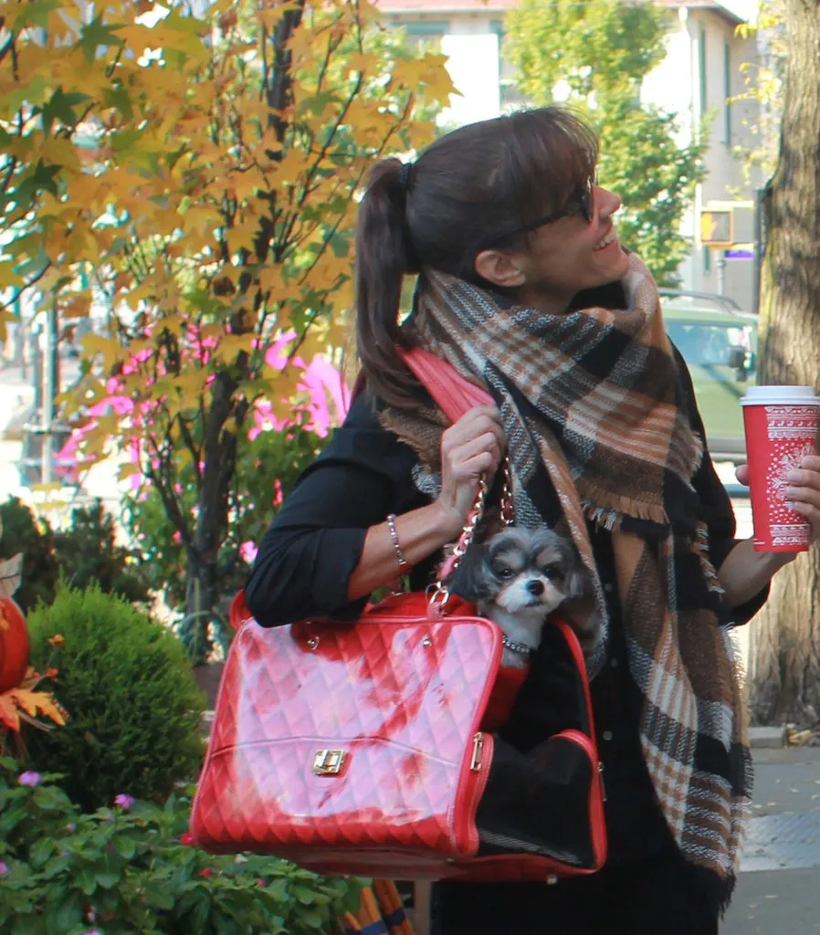 COCO DOG CARRIER RED