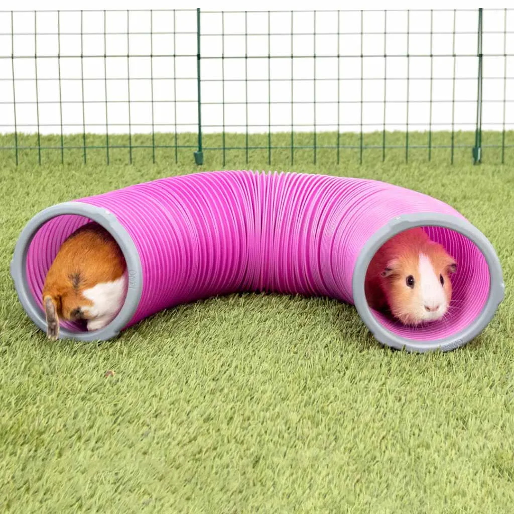 Connector Rings | Guinea Pig Play Tunnels