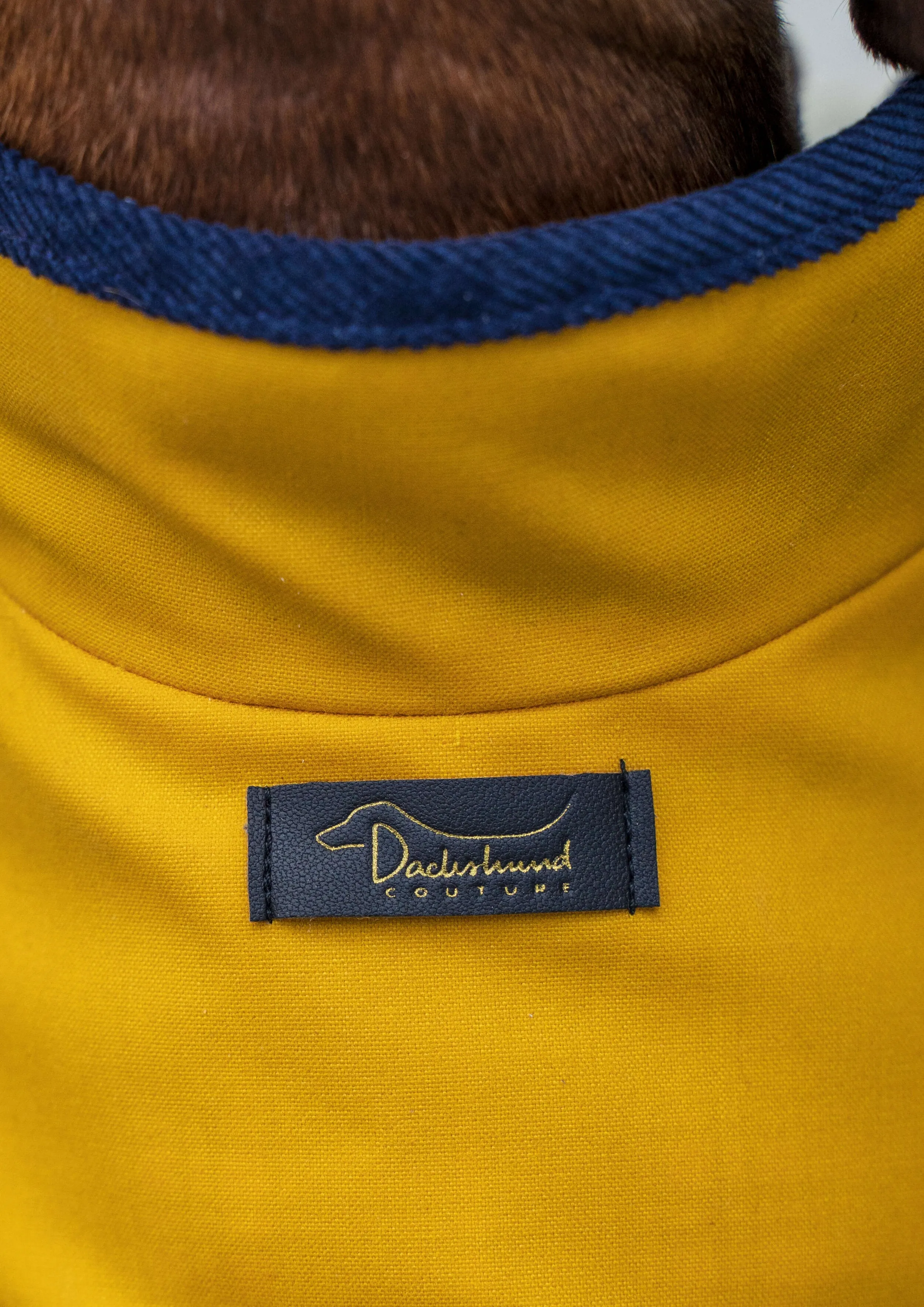 Dachshund yellow raincoat VanGogh