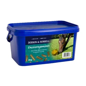 Dodson & Horrell Encouragemint Treats
