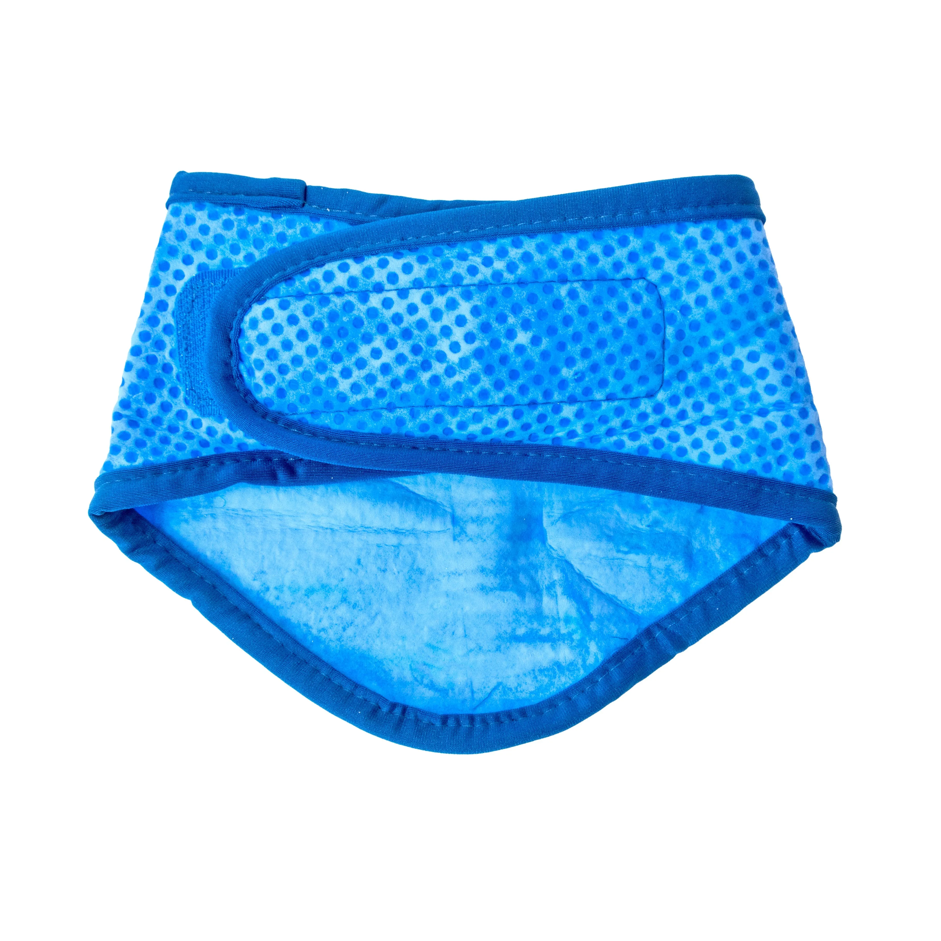 ICE BAND Blue  Dog Cooling Bandana – Instant Cooling Relief for Hot Weather