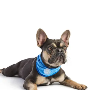 ICE BAND Blue  Dog Cooling Bandana – Instant Cooling Relief for Hot Weather