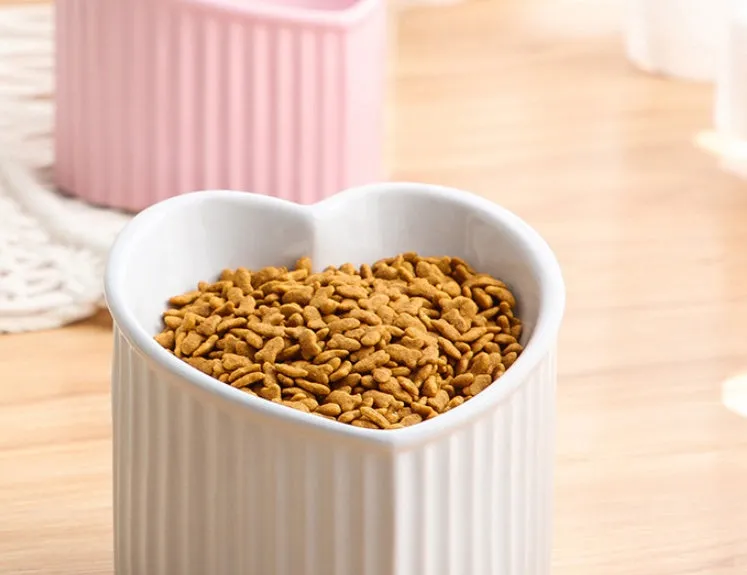 Inclined Ceramic Pet Bowl – Durable and Practical Elevated Feeding for Dogs