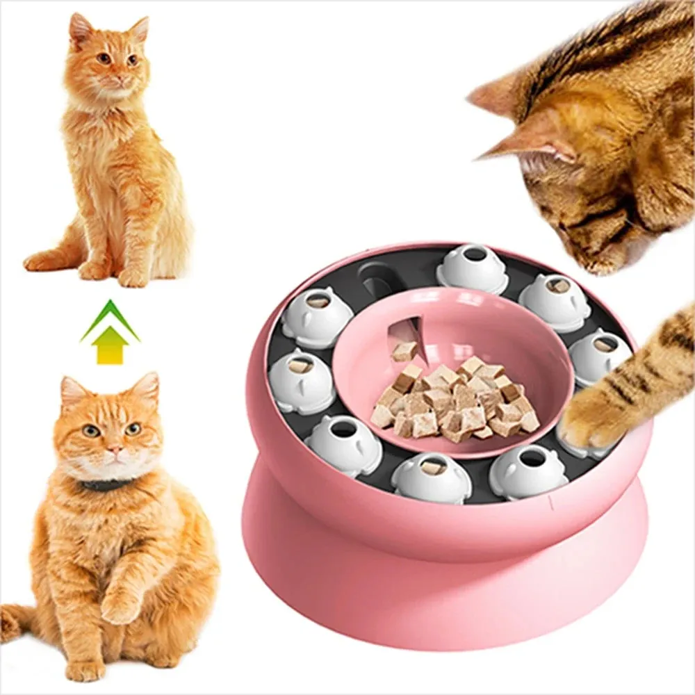 Interactive Slanted Cat Feeder Bowl for Slow Feeding