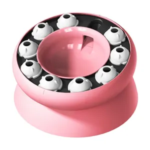Interactive Slanted Cat Feeder Bowl for Slow Feeding