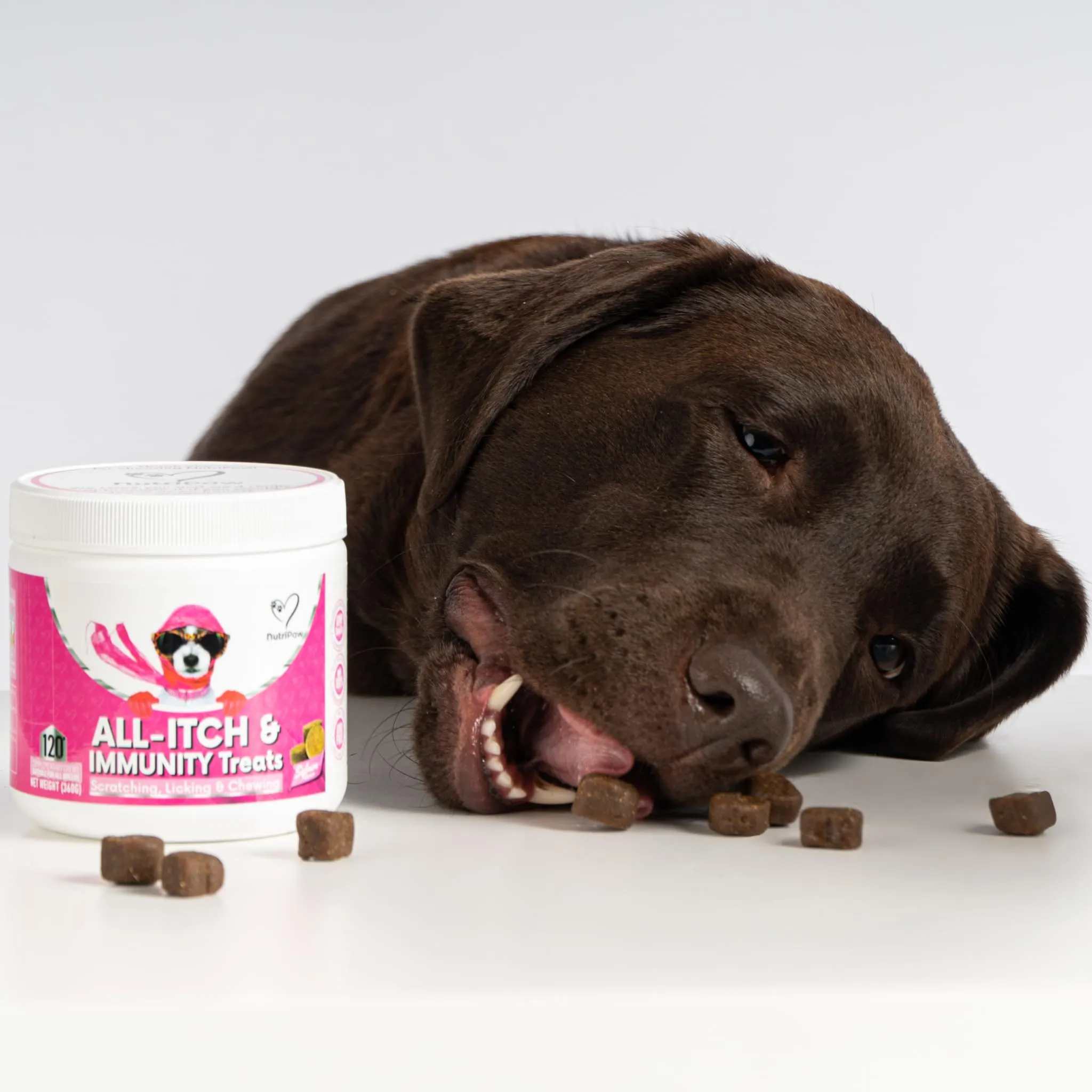 NutriPaw Anxious, Itchy Dog Bundle - Soft Chews To Soothe Itchy, Sensitive Paws, Eyes, Ears, Skin - Reduce Anxiety, Stress, Fear, Reactivity, Barking - Non-Drowsy - Great for all dogs
