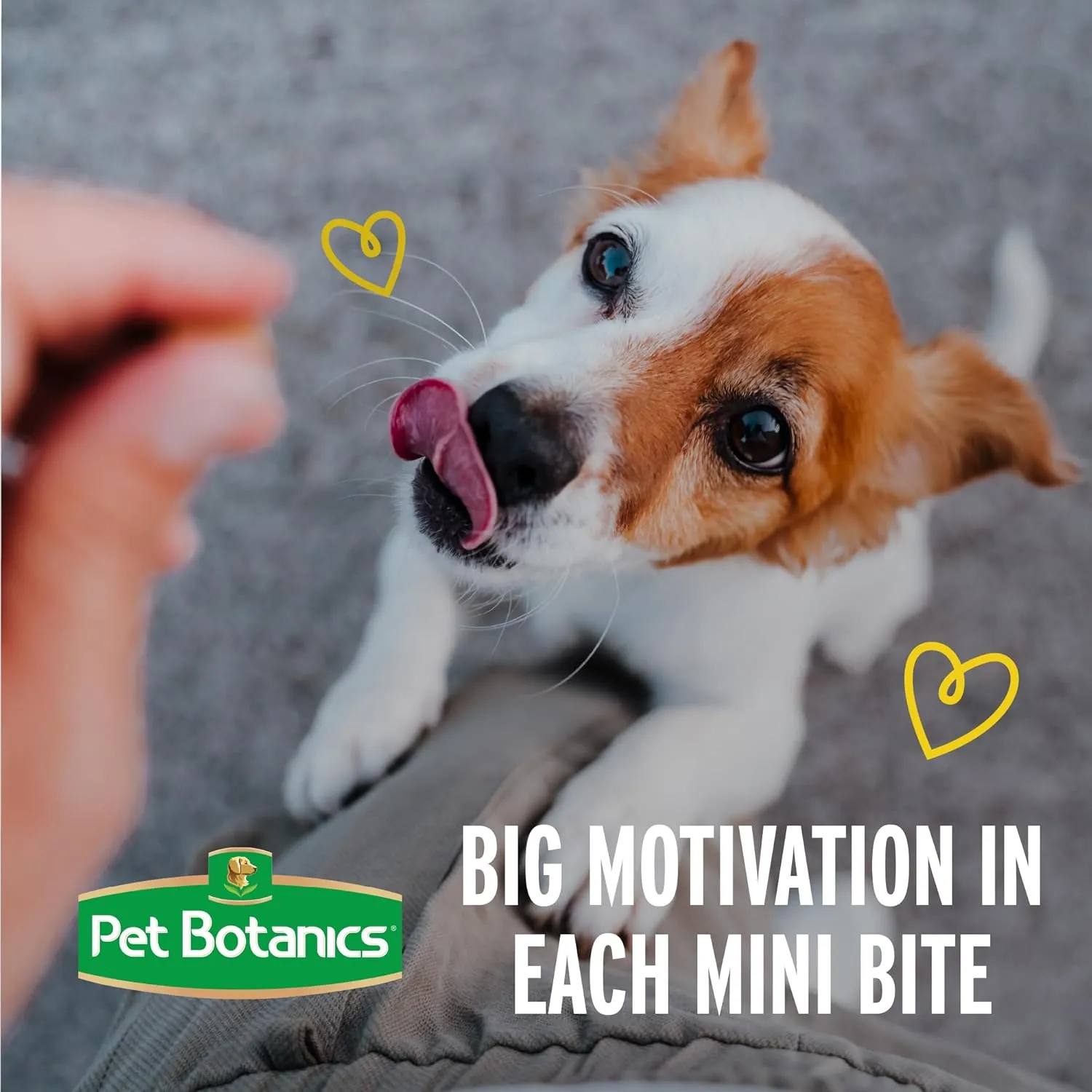 Pet Botanics Training Rewards Mini Soft & Chewy Duck & Bacon Flavor Dog Treats (4 oz)