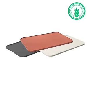 Pet Feeding Tray