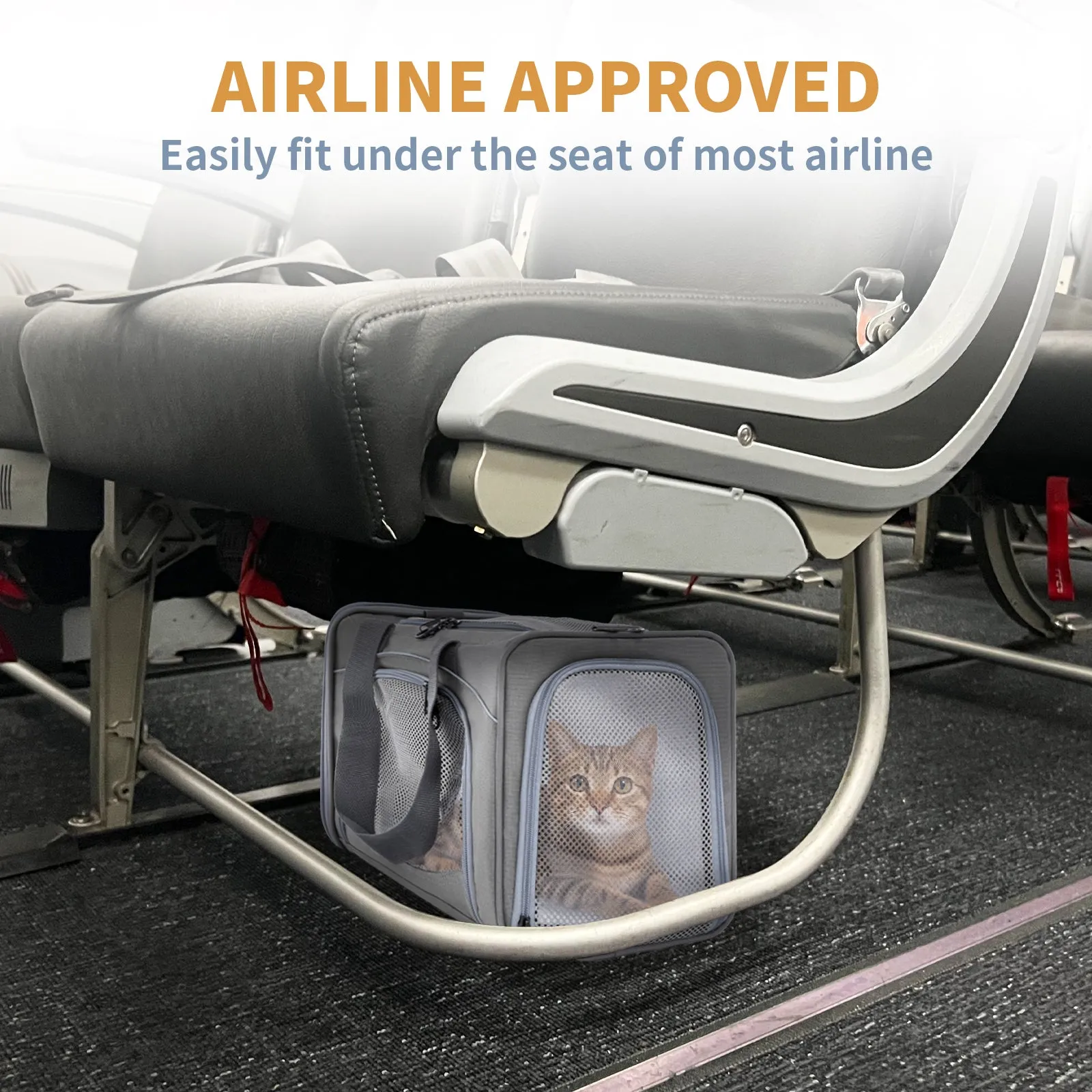PETSFIT Two-Way Placement Dog Carrier Airline Approved Small Animals Carriers for Kittens
