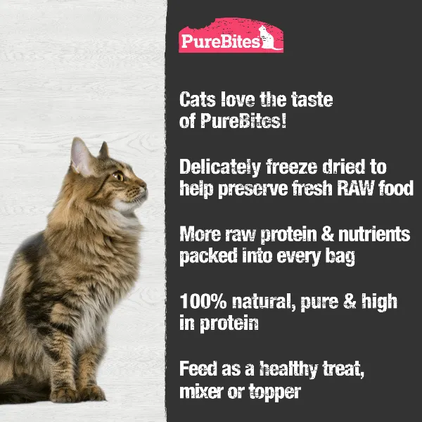PureBites Freeze Dried Wild-Caught Shrimp Cat Treat, 23g