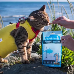 PureBites Minnow Freeze Dried Cat Treats 1.09oz