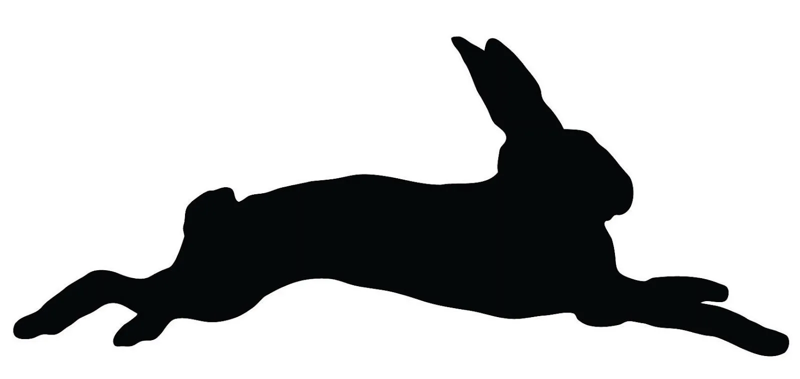 Rabbit Champ Pet Bundle