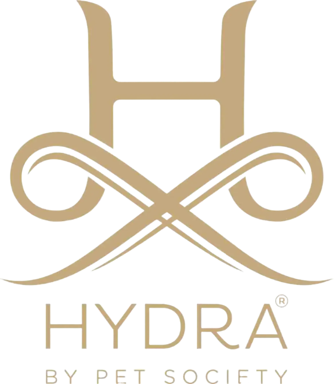 Whitening Shampoo 1.3 Gallon by Hydra